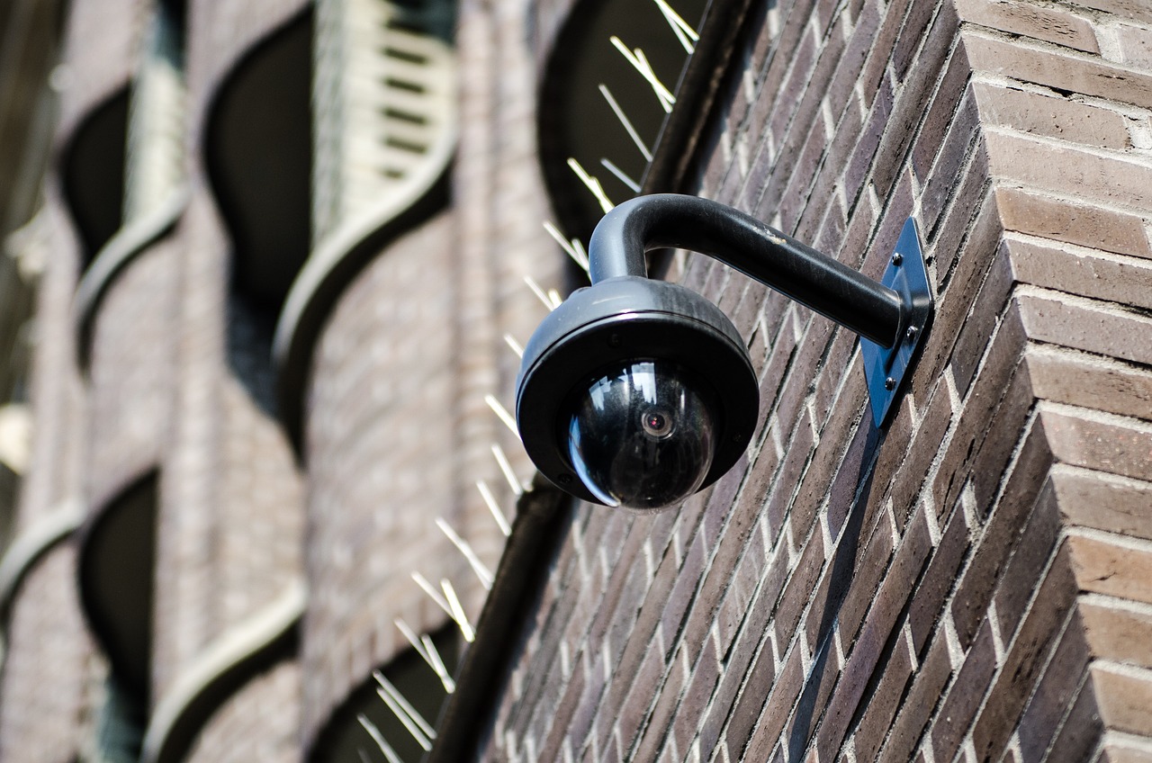 Analyzing the Morality of Citizen Surveillance